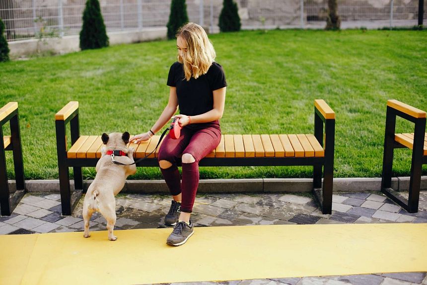 Зона выгула собак